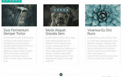 Le module Divi Blog | Documentation d’Elegant Themes
