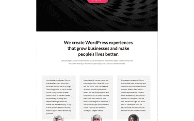 Comment utiliser Divi Leads