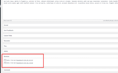Comment gérer les révisions de WordPress pour optimiser les performances du site