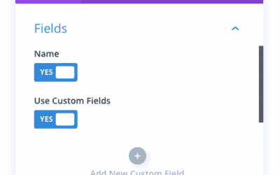 Ajout de champs personnalisés au module Divi Email Optin