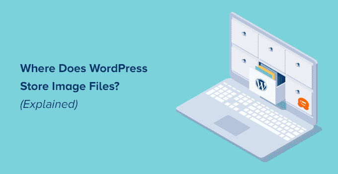 Where does WordPress store image files (Explained)