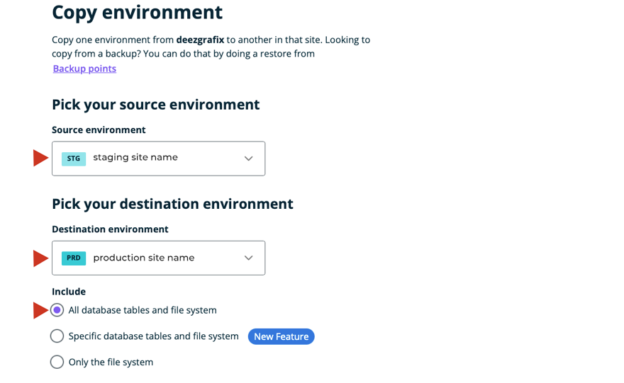 Copying WPEngine WordPress Staging Site