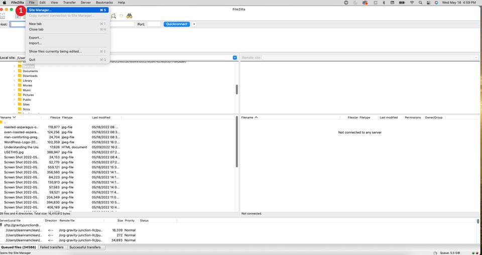FileZilla site manager
