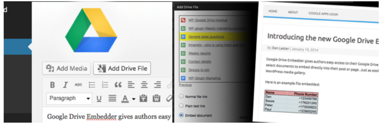 The Google Drive Embedder WordPress plugin.