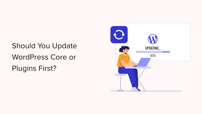 Should You Update WordPress or Plugins First? Proper Update Order