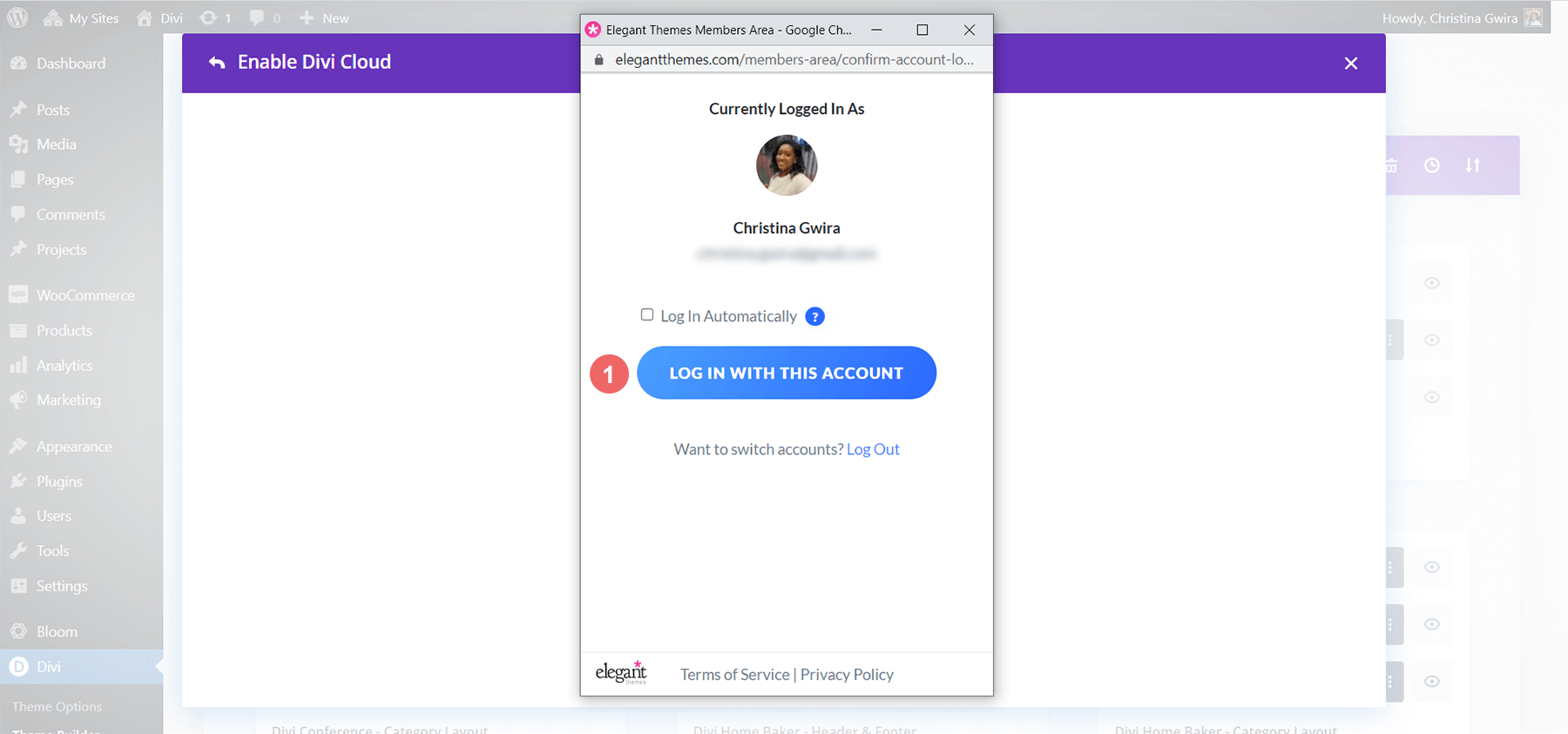 Confirm your ElegantThemes.com account