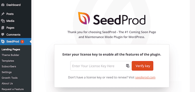 Entering the SeedProd license key