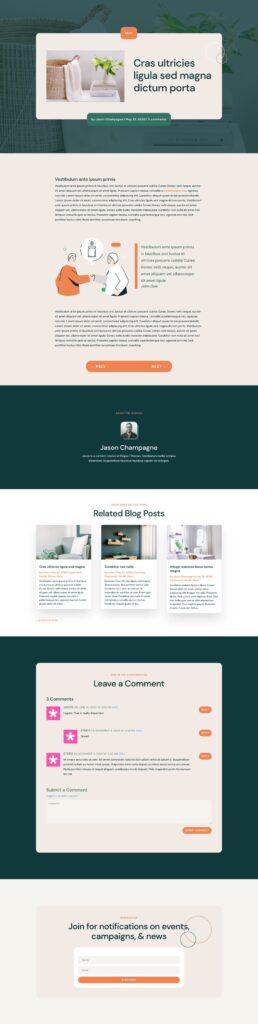 Download a FREE Blog Post Template for Divi's NGO Layout Pack