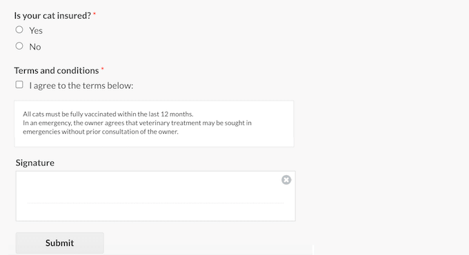 An e-signature form created using WPForms