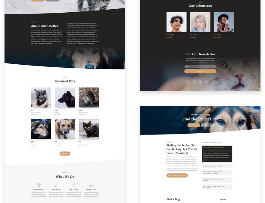 Animal Shelter Divi Layout