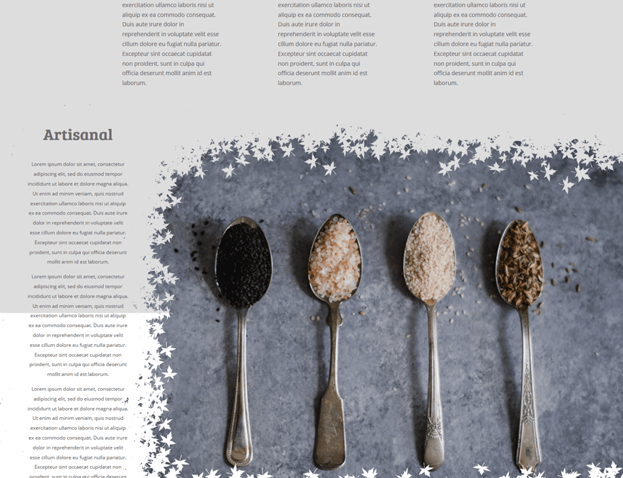 ecommerce website design