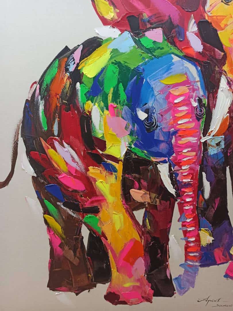 Rainbow Elephant Side View Paint by Numbers Canvas Art Work DIY 40cm x 50cm