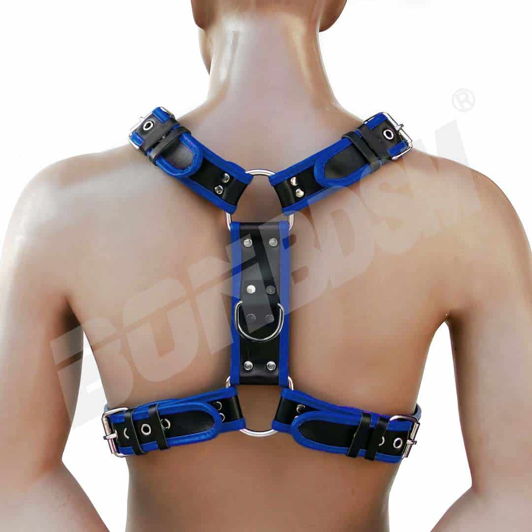 Chest Harness Y shape, HEAVY DUTY genuine leather, Puppy play, fetish bdsm  Human pups, Mature, Valentine's gift - LaFactory