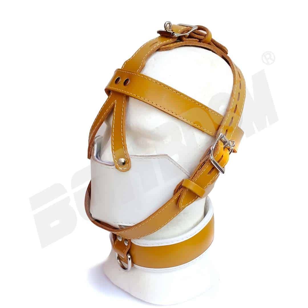 Head harness muzzle top