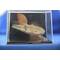 DeAgostini Star Wars 01 Millenium Falcon-